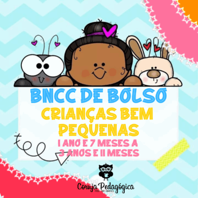 BNCC de bolso Creche - crianças bem pequenas (1 ano e 7 meses a 3 anos e 11 meses)