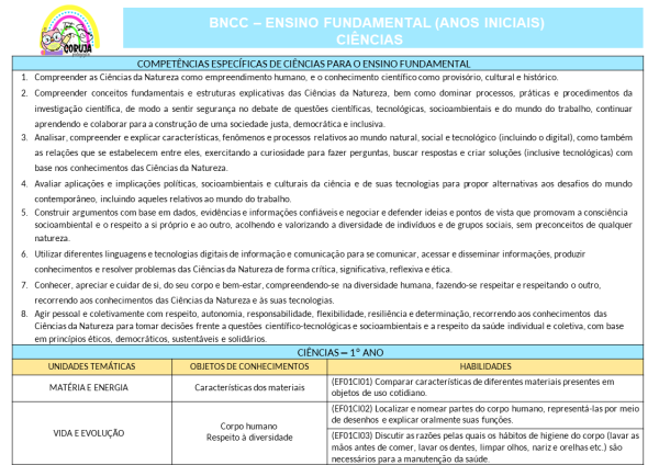 Planejamento Anual 2025-1º ano do Fund. 1 EDITÁVEL POWER POINT - Image 11